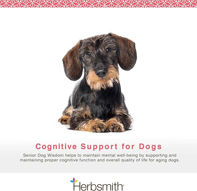 Herbsmith Senior Dog Wisdom – Dog Dementia Supplement – DHA for Senior Dog Brain Health - Senior Supplement for Dogs- 75g