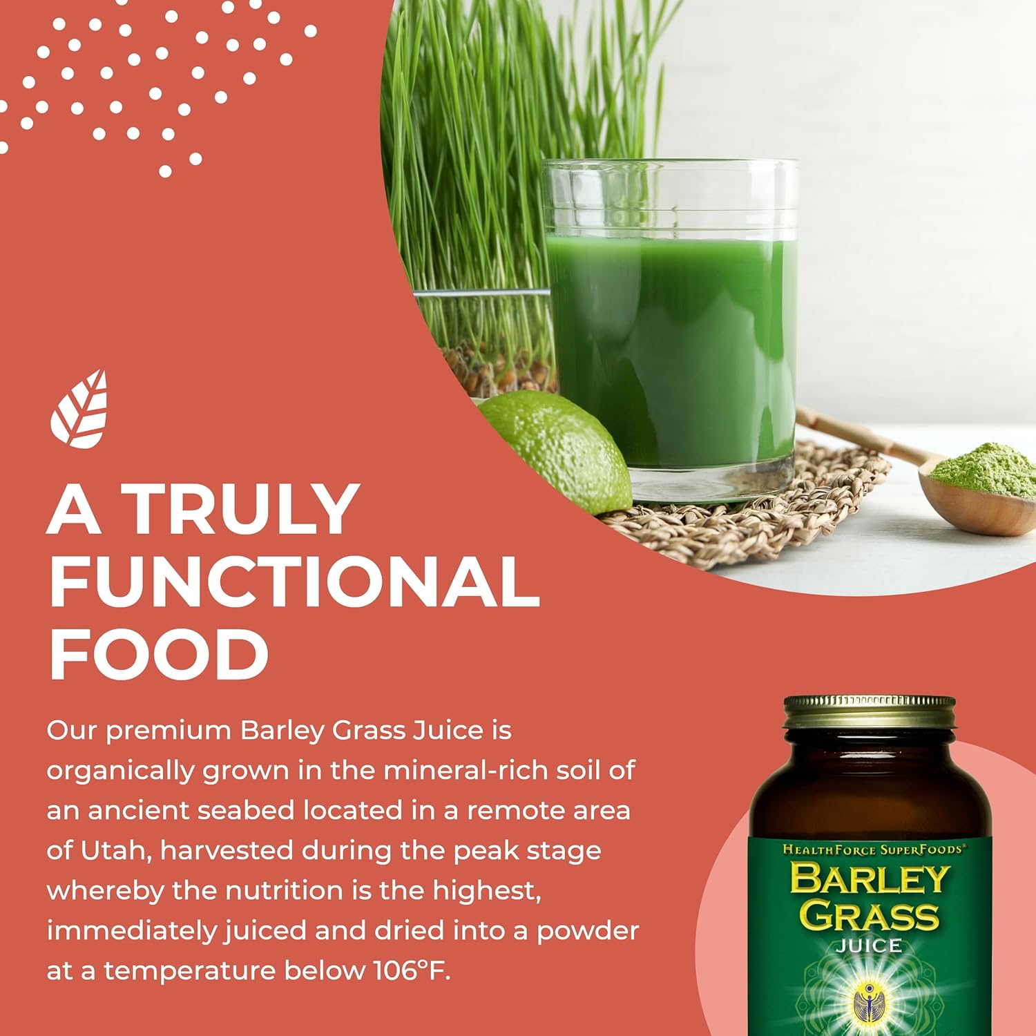 HealthForce SuperFoods Barley Grass Juice – 8 oz Powder