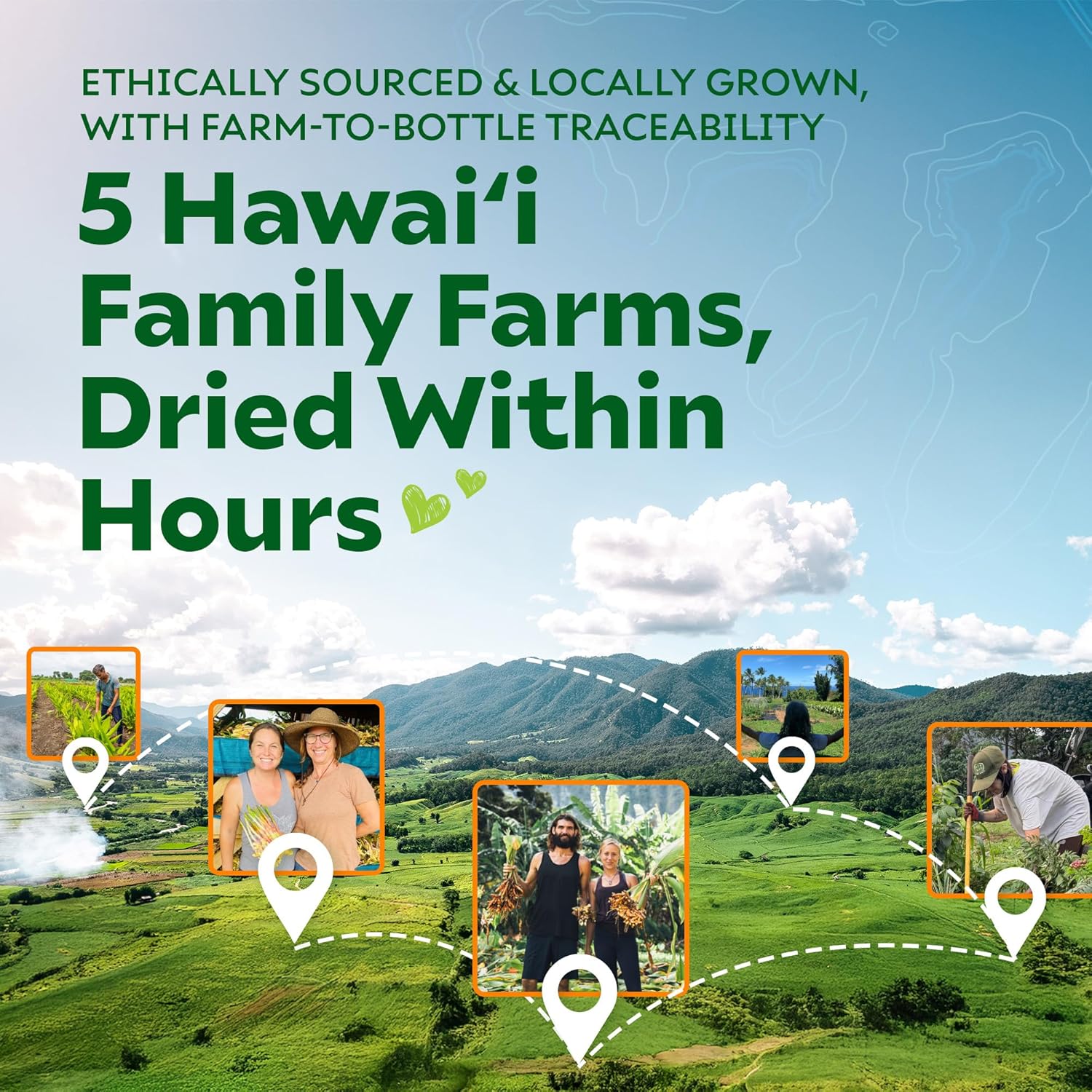 Good Mana Olena Gold Hawaii-Grown Turmeric Supplement - Organic Turmeric Curcumin with Black Pepper - Joint Support & Inflammation Relief - 60 Vegan Capsule