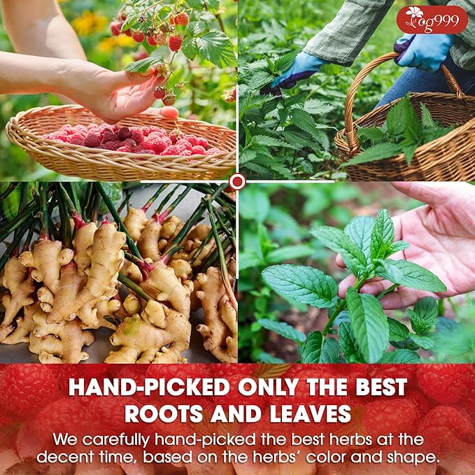 TOG999, 60 Tea Bags for Hormone Balance Menstrual Cycle Support, 100% Natural & Pure from Red Raspberry Leaves with Spearmint Flavor. Natural Material Tea Bags. No Sugar, No Caffeine, Vegan.