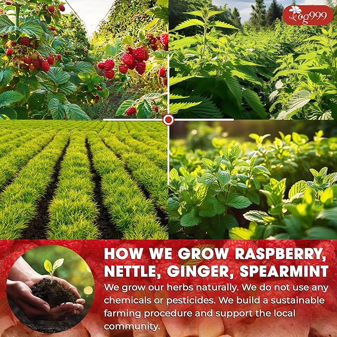 TOG999, 60 Tea Bags for Hormone Balance Menstrual Cycle Support, 100% Natural & Pure from Red Raspberry Leaves with Spearmint Flavor. Natural Material Tea Bags. No Sugar, No Caffeine, Vegan.