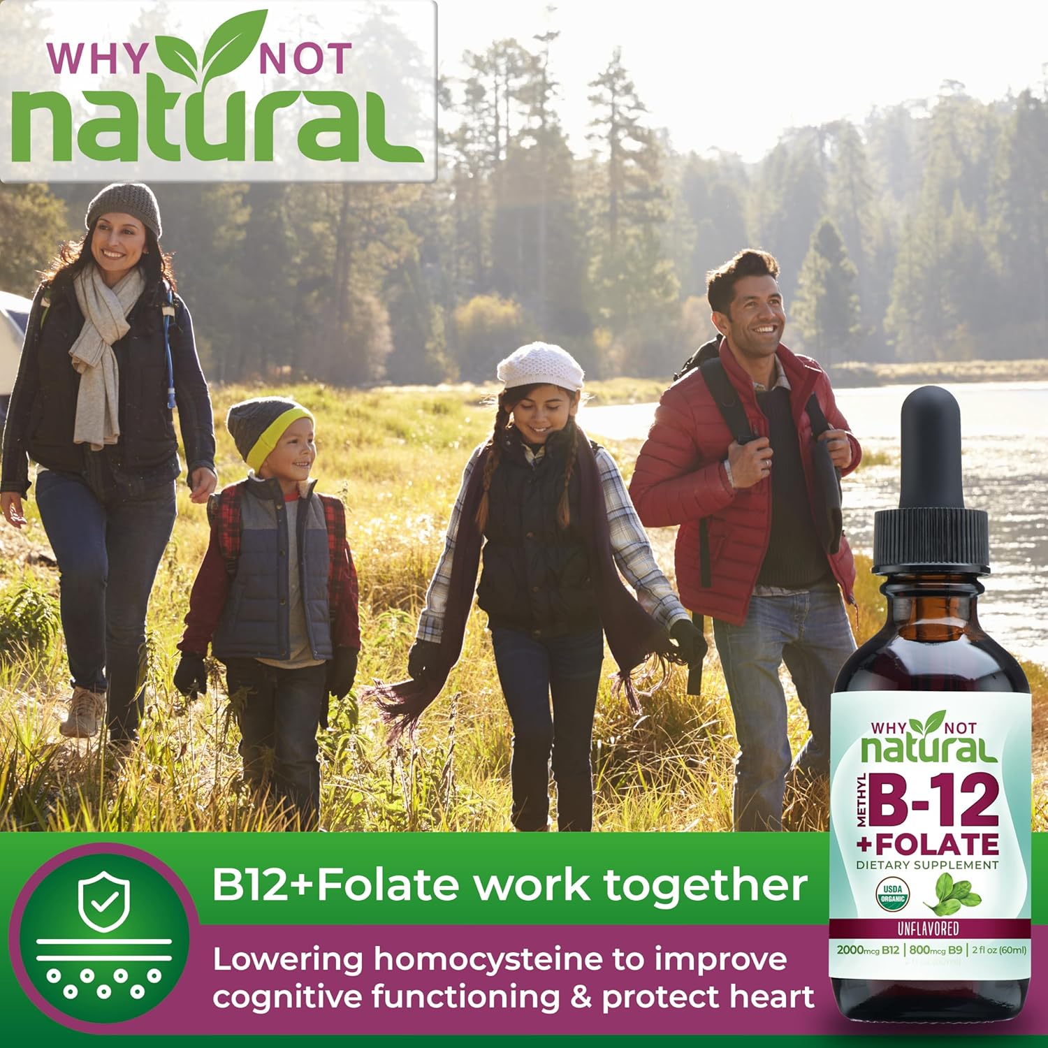 Why Not Natural Vitamin B12 Liquid Plus Folate - Organic Sublingual Extra Strength Vegan Drops - Methyl Supplement with Folinic
