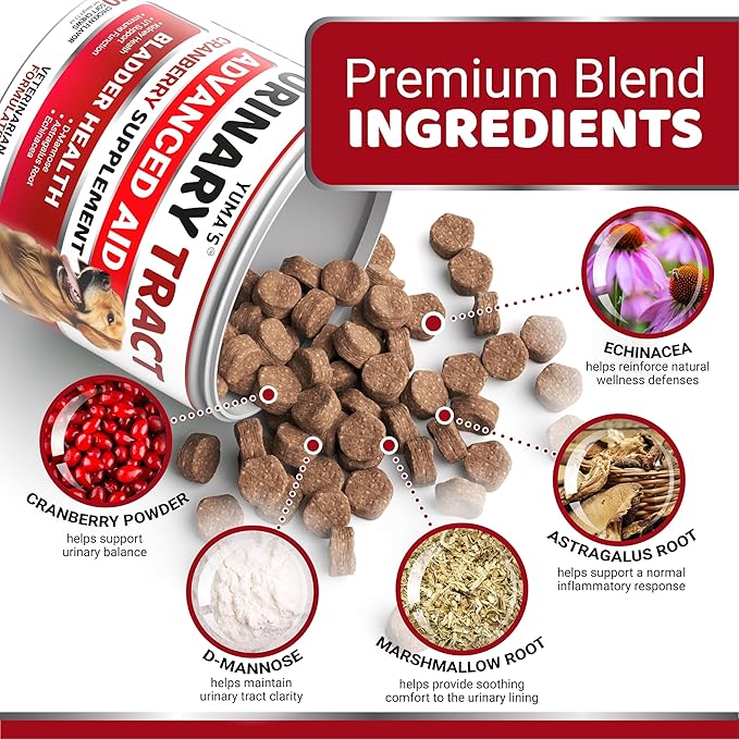 Dog UTI Chews - 170 Treats - Cranberry Supplement for Dogs - Bladder Control - Digestion & Immune Support - Urinary Tract Health - Multivitamin - Vitamins and Supplements - Made in USA