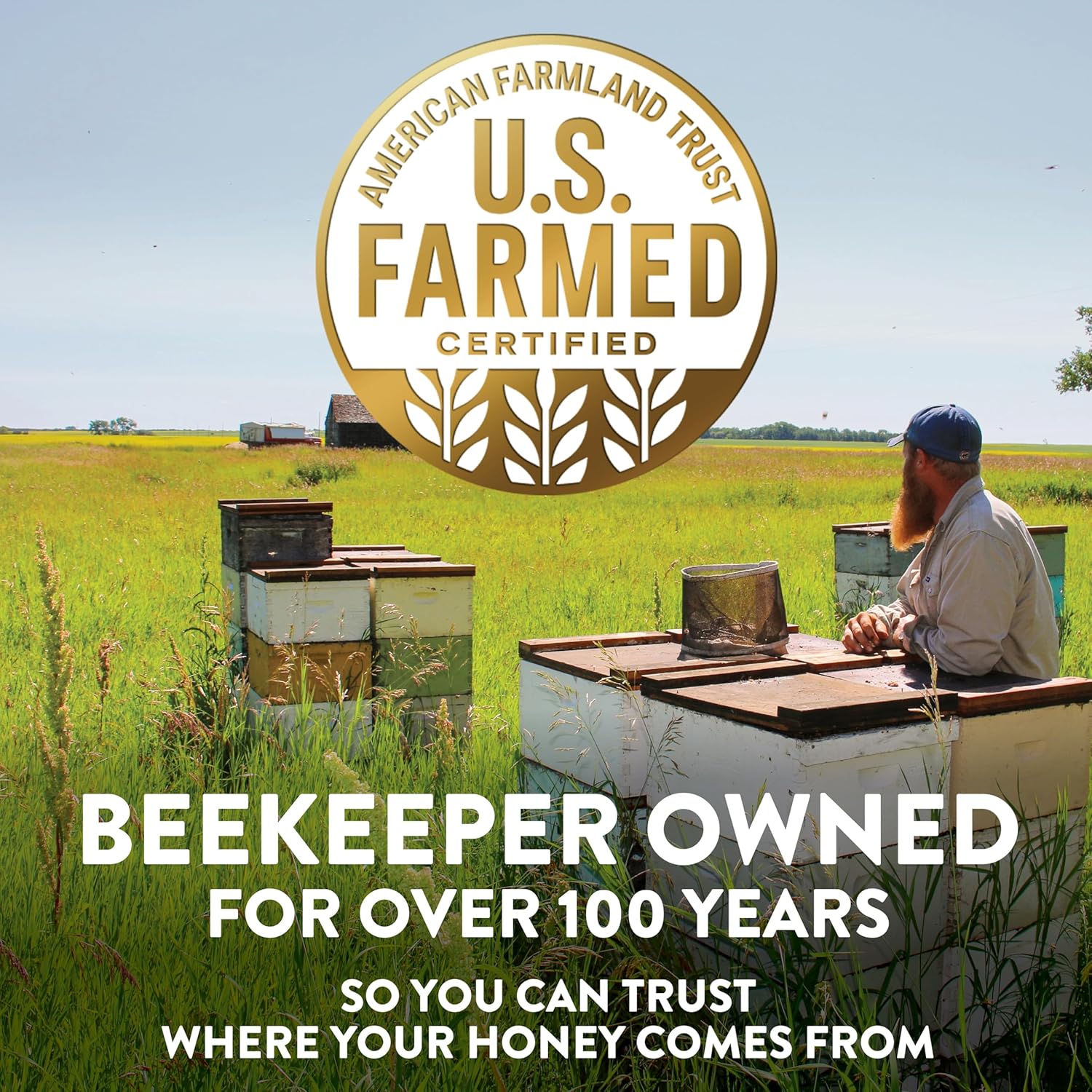 Sue Bee Pure Premium Honey From USA Beekeepers, 80 oz