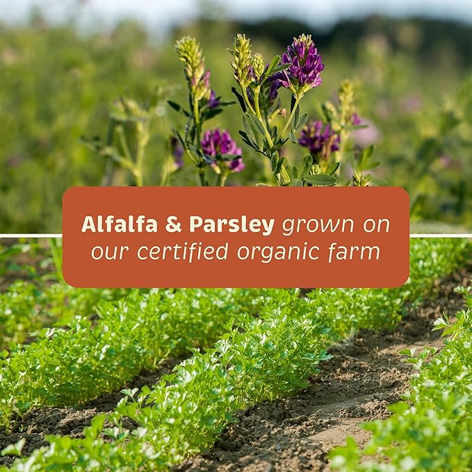 Spirited Paw Health + Vitality - Joint Health & Immune System Support - Healthy Heart & Coat Support - Multivitamin Pet Wellness Supplement - Liver-Flavored Dog Chews - 90 Chewable Wafers