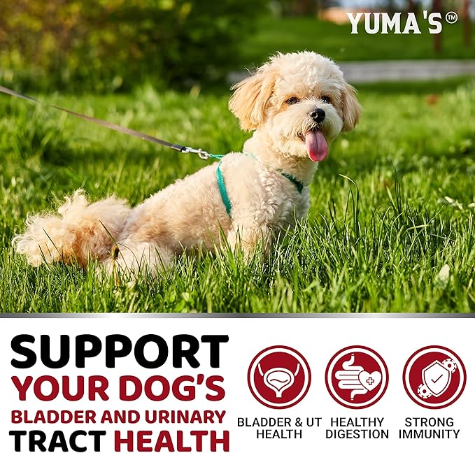 Dog UTI Chews - 170 Treats - Cranberry Supplement for Dogs - Bladder Control - Digestion & Immune Support - Urinary Tract Health - Multivitamin - Vitamins and Supplements - Made in USA